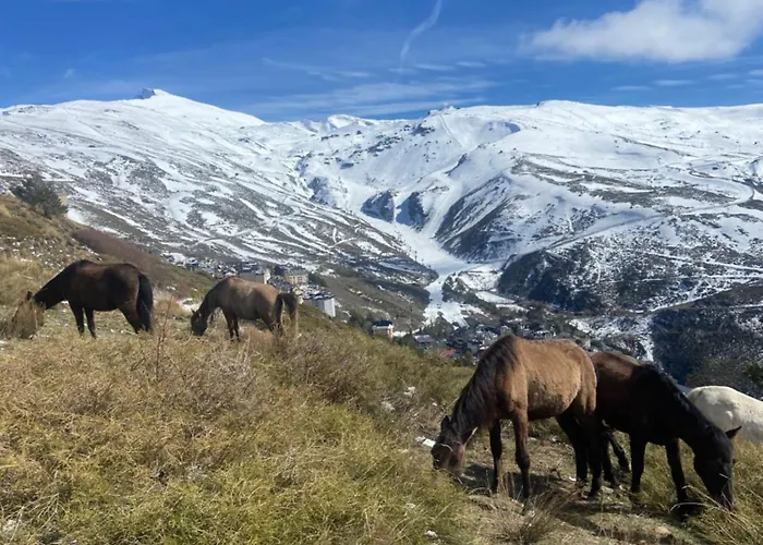 Estudio Jimena Alcazaba