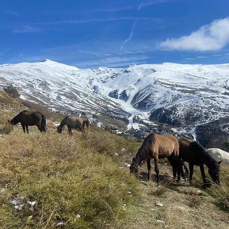 Estudio Jimena Alcazaba